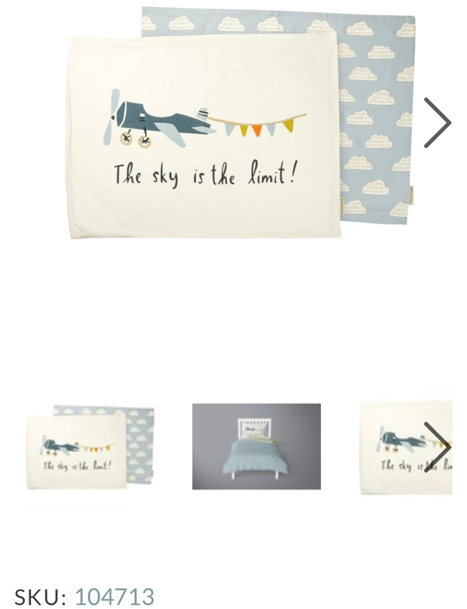 Pillow Case - Plane