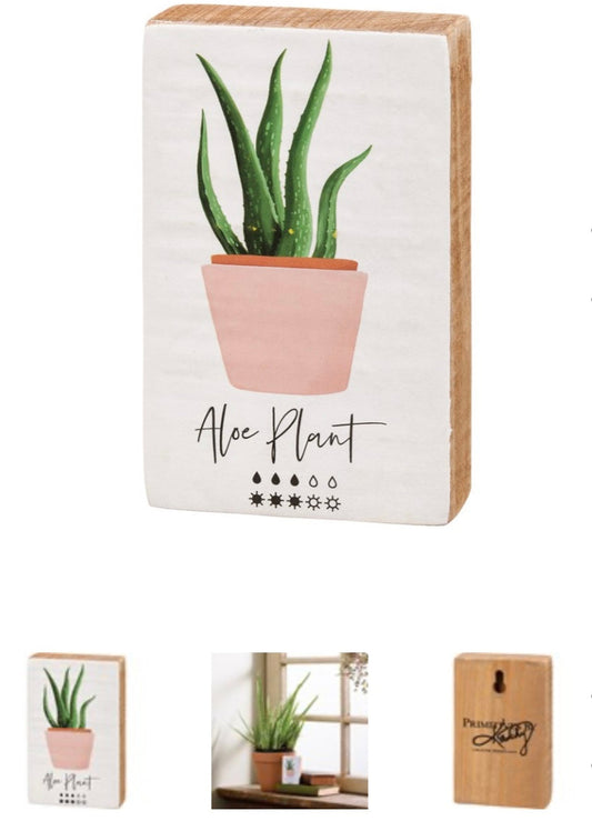 Box Sign Aloe Plant